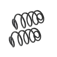 Coil Spring Set