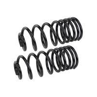 Coil Spring Set