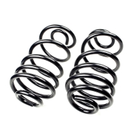 Coil Spring Set