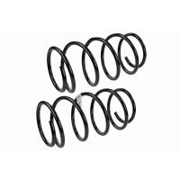 Coil Spring Set