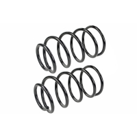 Coil Spring Set