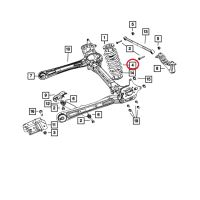 Rear Coil Spring