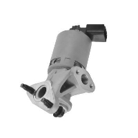 EGR Ventil
