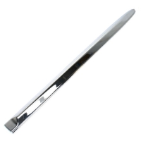 Rear Door Side Molding