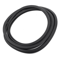 Windshield Weatherstrip Seal