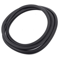 Windshield Weatherstrip Seal
