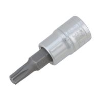 Torx socket