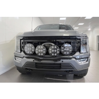 Q-LIGHT  Auxiliary Light Mount