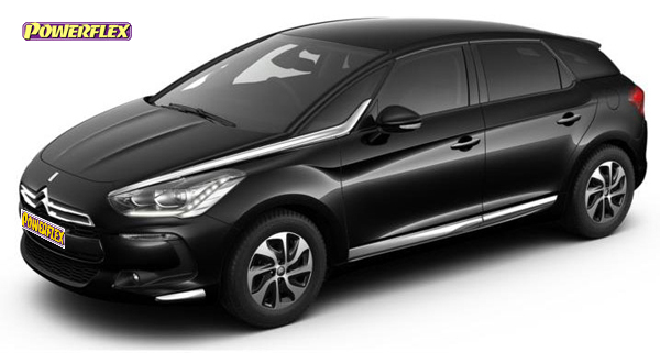 DS5 Models