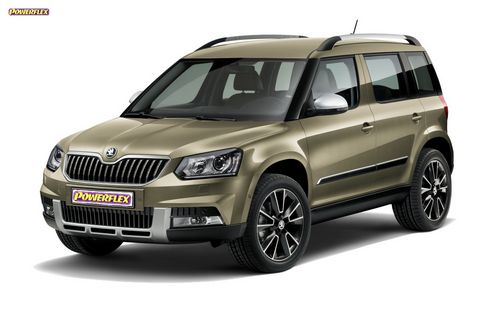 Yeti 5L (2009 - 2017)
