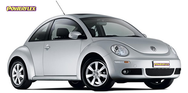 Beetle Models