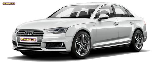 A4 / S4 B9 (2016 - ON)