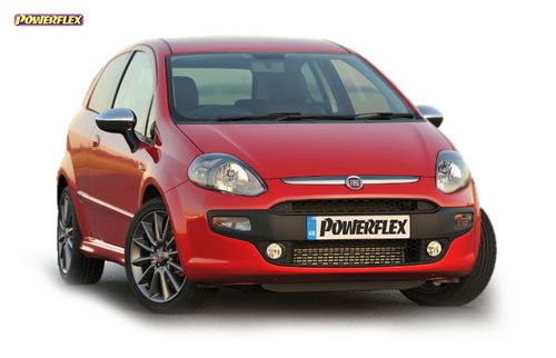 Punto Evo