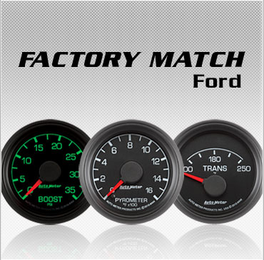 FORD FACTORY MATCH