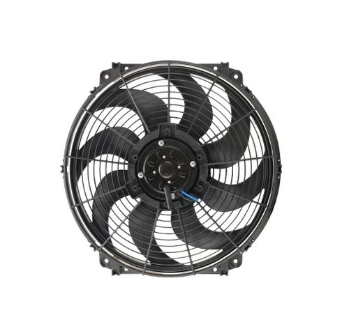 Fans