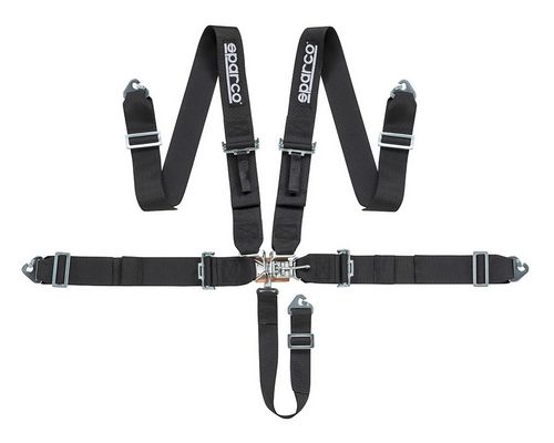 5 Point Harness