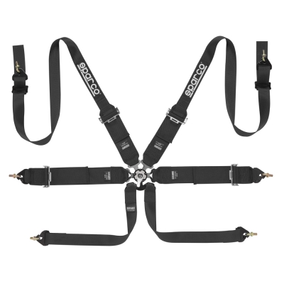 6 Point Harness