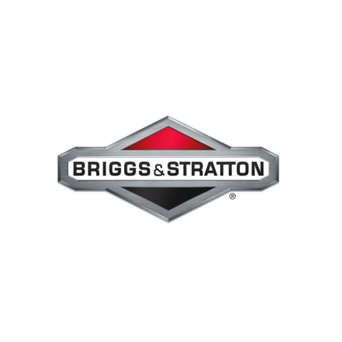 Briggs & Stratton